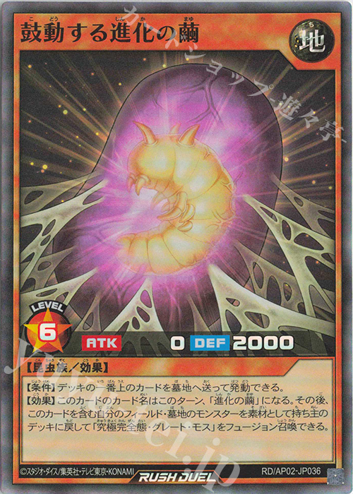 SR 鼓動する進化の繭 | 販売 | [AP02] アドバンスパックリベンジ・ハーツ | 遊戯王ラッシュデュエル