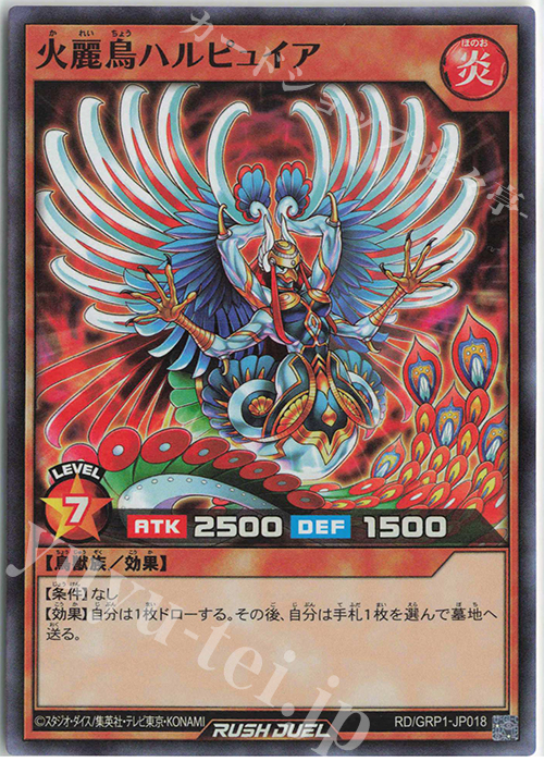 【傷】 SR 火麗鳥ハルピュイア | 販売 | [GRP1] ゴールドラッシュパック | 遊戯王ラッシュデュエル