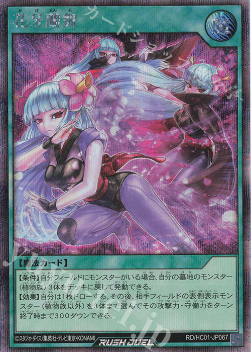 【傷】 SE 花牙蘭舞 | 販売 | [HC01] ハイグレードコレクション | 遊戯王ラッシュデュエル