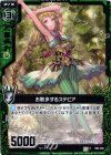  B03-082 C お散歩するステビア 