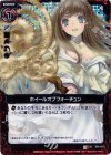 B06-019 UCH ホイールオブフォーチュン(ホロ)
