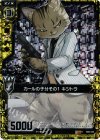  B06-042 RH カールの子分その1 キジトラ(ホロ) 