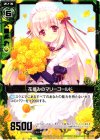  B12-093 C 花摘みのマリーゴールド 
