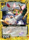  B13-046 R 嵐のキャスター ミスト 