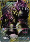  B13-050 CH イヴィルべイン ワスカラン(ホロ) 