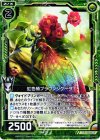  B13-081 UC 虹色椿ブラウンシケーダ 