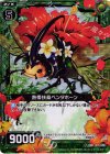  B13-092 UCH 熱帯扶桑ペンタホーン(ホロ) 
