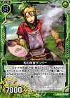  B14-088 C 旬の味覚タンジー 