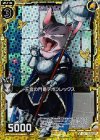  B17-043 CH 王宮の門番デボンレックス(ホロ) 