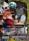 B17-046 UCH 足抜けした元子分キジトラ(ホロ) 