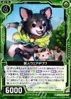  B17-088 C 獣人ウェアチワワ 