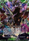  B19-100 UCH 義によって助太刀いたす！(ホロ) 