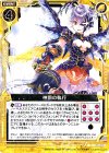  B21-060 N 神罰の執行 