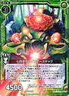  B22-083 R 七色甲虫レインボースタッグ 
