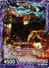  B23-063 NH 不運の闇猫ペッヒ(ホロ) 