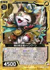  B25-040 N 噂の疾足猫メインクーン 