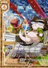  B25-043 NH ゴージャスクルーズ メインクーン(ホロ)(エンジョイフレーム) 