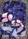  B28-066 RH 墜つる黒星スタレイ(ホロ) 