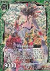  B29-050 NH 花魁宴歌 女郎花(ホロ) 