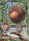  B30-050 NH 棘団子マロンピルバグ(ホロ) 