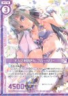  B30-061 R 大人のお姉さん ブルーベリー(エンジョイフレーム) 
