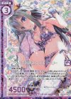  B30-061 RH 大人のお姉さん ブルーベリー(ホロ)(エンジョイフレーム) 