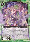  B31-045 N かぐわしき毒針 樒 