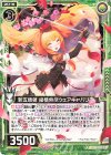  B34-050 N 新五頭領 縦横無尽ウェアキャバリエ 