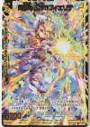  B36-082 BR 超越者【矜持】フィエリテ 