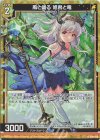  B38-028 NH 風と踊る 姫君と竜(ホロ) 