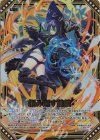  B44-074 RR 拒み返す棘鎖 