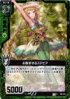  C06-018 C お散歩するステビア 