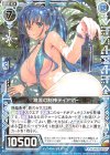  E13-015 R 激流の制神ティアマト 