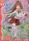 E17-005 RH パン食い登校プリズム(ホロ)(エンジョイフレーム) 