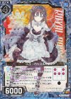 E20-029 RH ニューカッスル(ホロ)