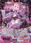  E23-013 SRH 万華鏡で見た景色 アニムス(ホロ) 