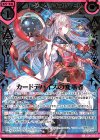  E24-036 SR カードデバイスの変革者 