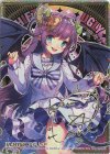  E29-065 CVR アグリィP(サイン入り) 
