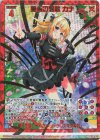  E30-033 WR 愛娘の聖歌 カナ 