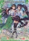  E33-013 RH アラネ 理想を胸にさあ目指そう(ホロ)(エンジョイフレーム) 