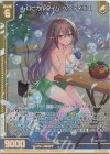  E33-034 LR トロピカルタイム ペクティリス(エンジョイフレーム) 