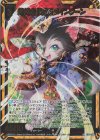  E35-078 BR 超越者【顕欲】メインクーン 