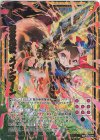  E35-079 WR 聖き解放 メインクーン 