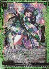  E41-037 WR 頬笑§結魂 ペクティリス 