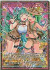  G08-002 RH おたからはっけん ニグたん＆テオゴにゃん(ホロ) 