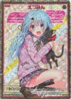 G09-001 RH えつみん(ホロ)