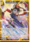  G24-014 N 月夜を駆ける忍猫 メインクーン 