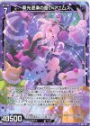  G37-011 R 華光遊楽の誓い アニムス 