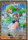  IG11-074 SEC 借りてきた猫 メインクーン(シークレット) 