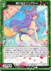 IG13-014 N 眩い浜辺 ピュアティ